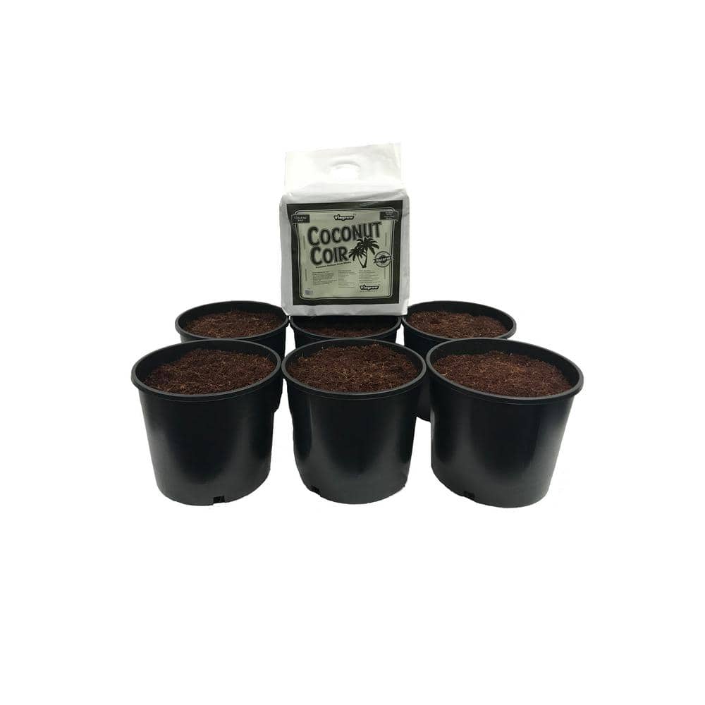 3 Gal. Round Heavy-Duty Plastic Nursery Pots with Coir (6-Pack) - Hercitys