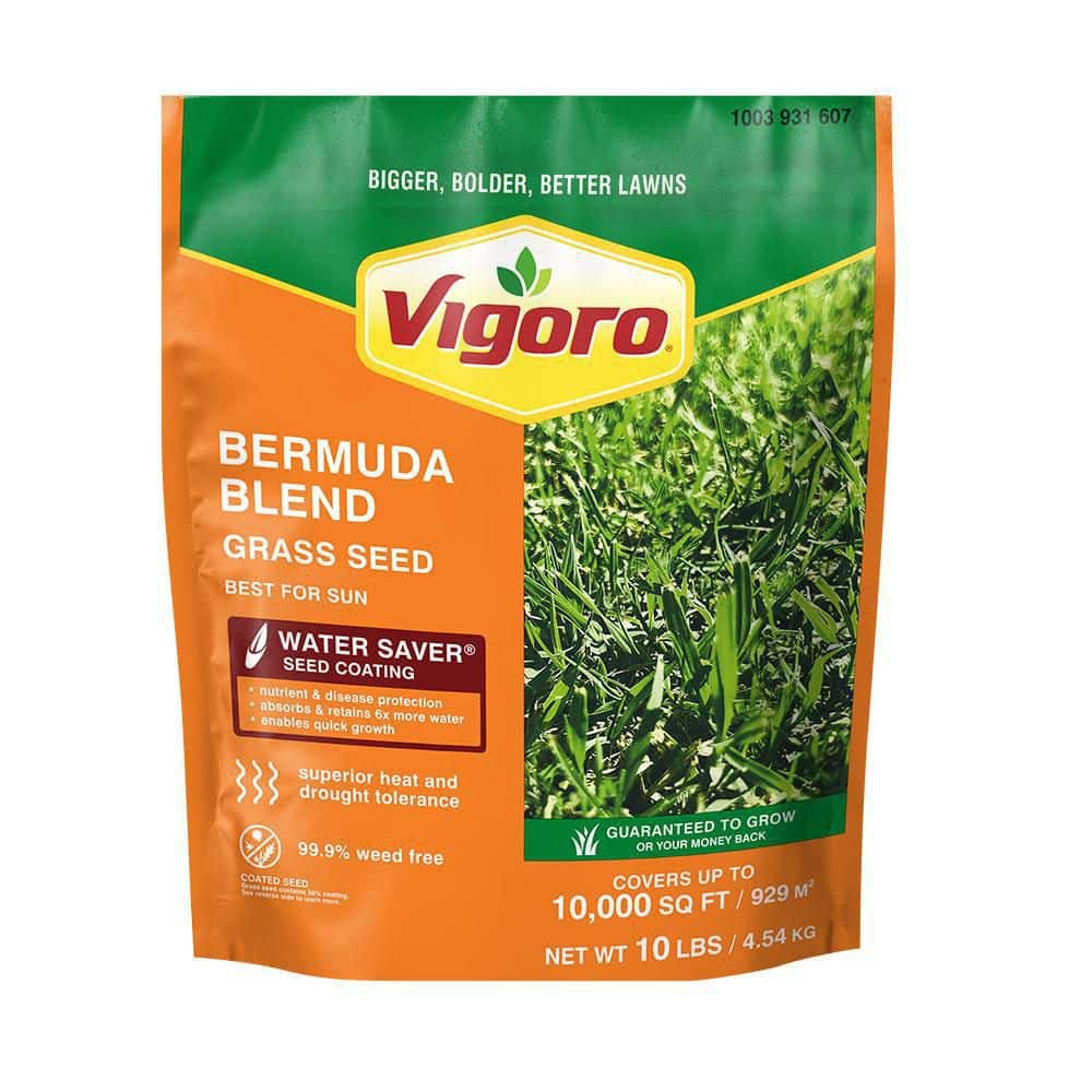 10 lbs. Bermuda Grass Seed Blend with Water Saver Seed Coating - Hercitys