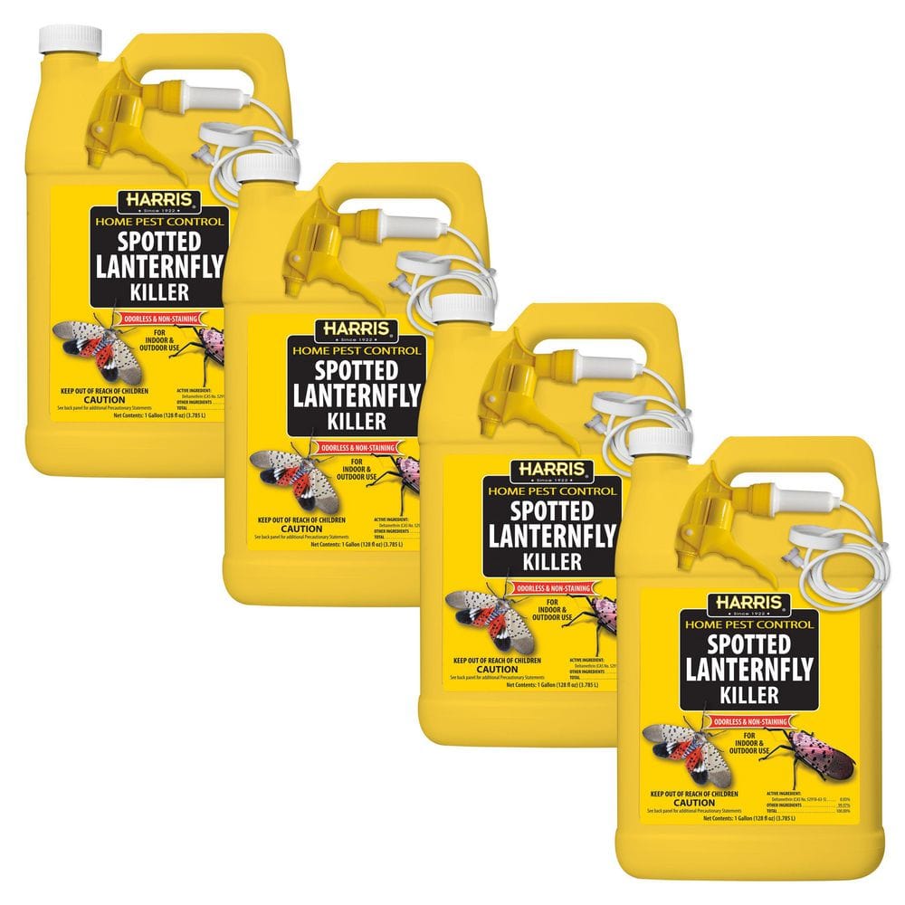 1 Gal. Spotted Lanternfly Killer (4-Pack) - Hercitys