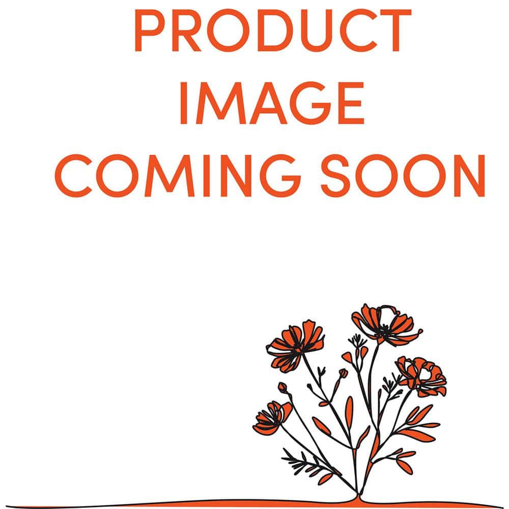 1.5 GL Dahlia Annual Plant with Red Flowers-(1-Pack) - Hercitys