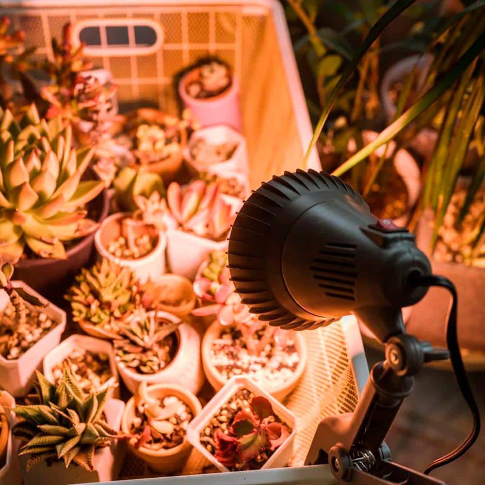 40W E26 52.54 PPF Grow Light Bulb, Wide Spectrum for Indoor Plant Growing, 1 Bulb Included (4-Pack) - Hercitys