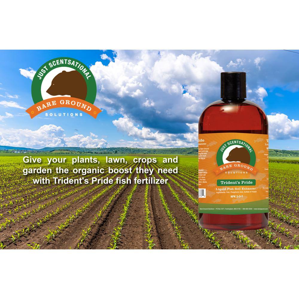 16 oz. Liquid Fish Fertilizer - Hercitys