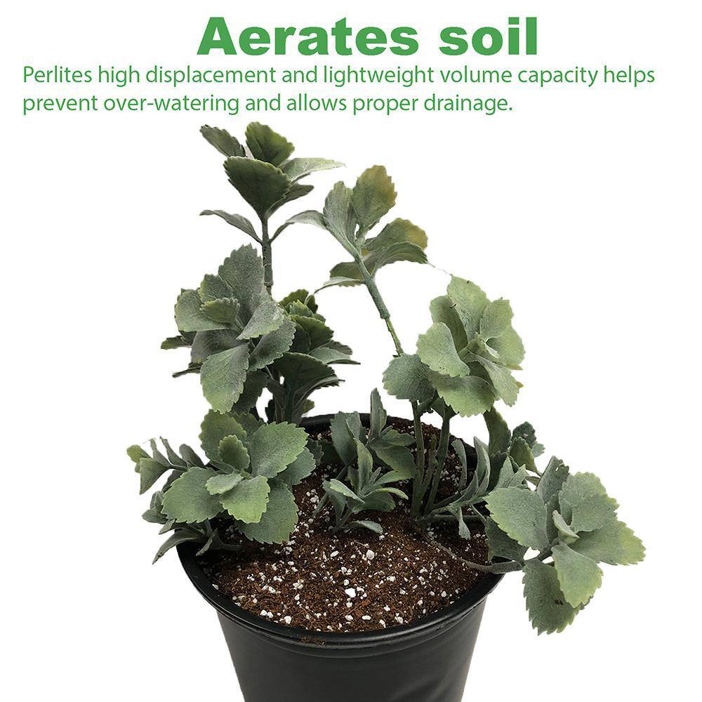 102 Quarts, 4 cu. ft. Organic Perlite Planting Soil Additive and Growing Medium White - Hercitys