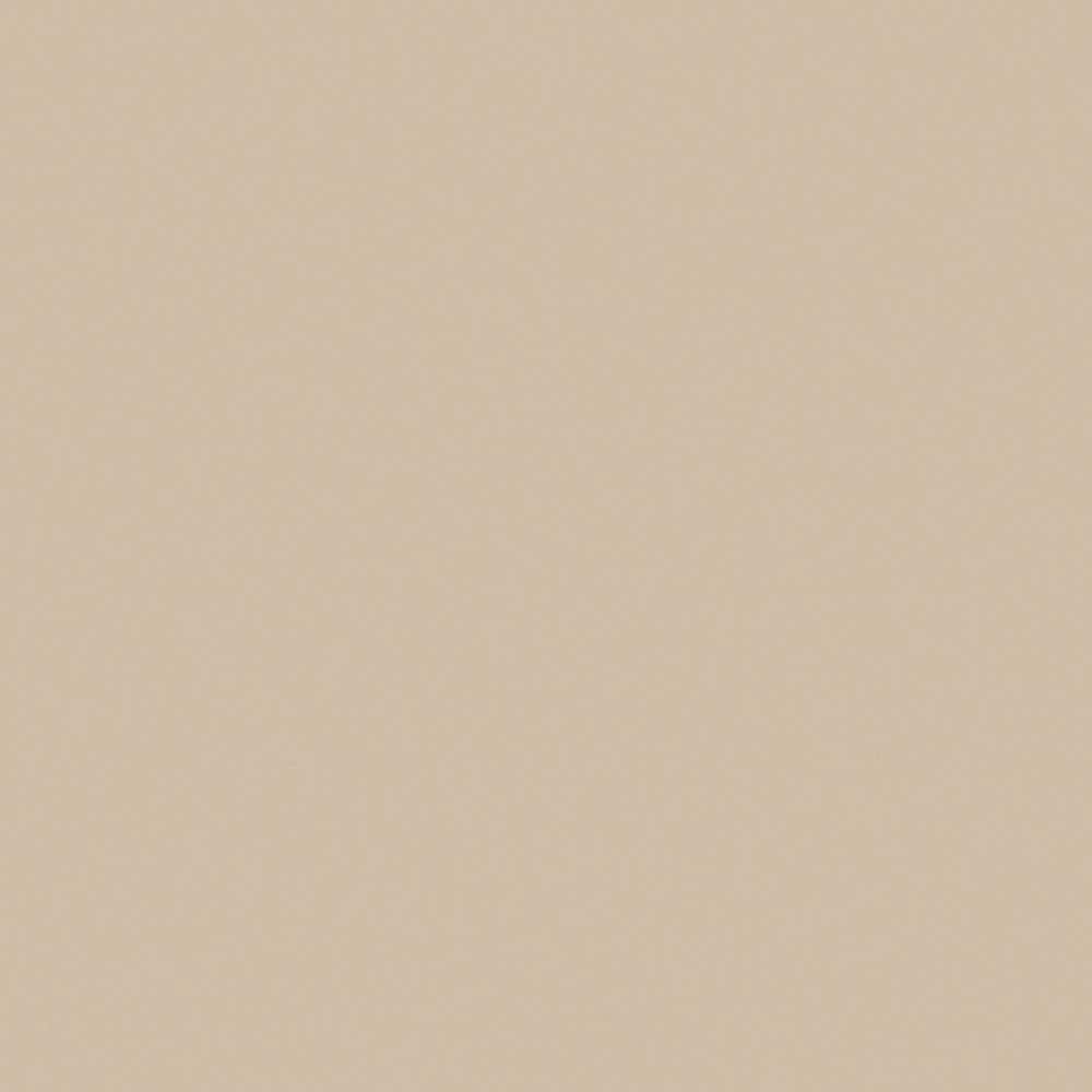 5 ft. x 12 ft. Laminate Sheet in Beige with Matte Finish - Hercitys