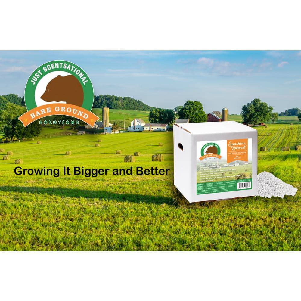 40 lbs. Box SOP Fertilier - Hercitys