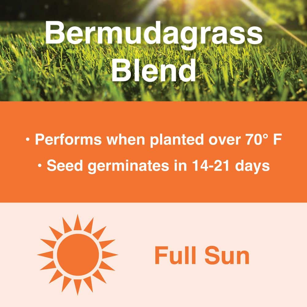 10 lbs. Bermuda Grass Seed Blend with Water Saver Seed Coating - Hercitys