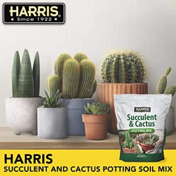 4qt. Succulent and Cactus Potting Soil Mix (4-Pack) - Hercitys