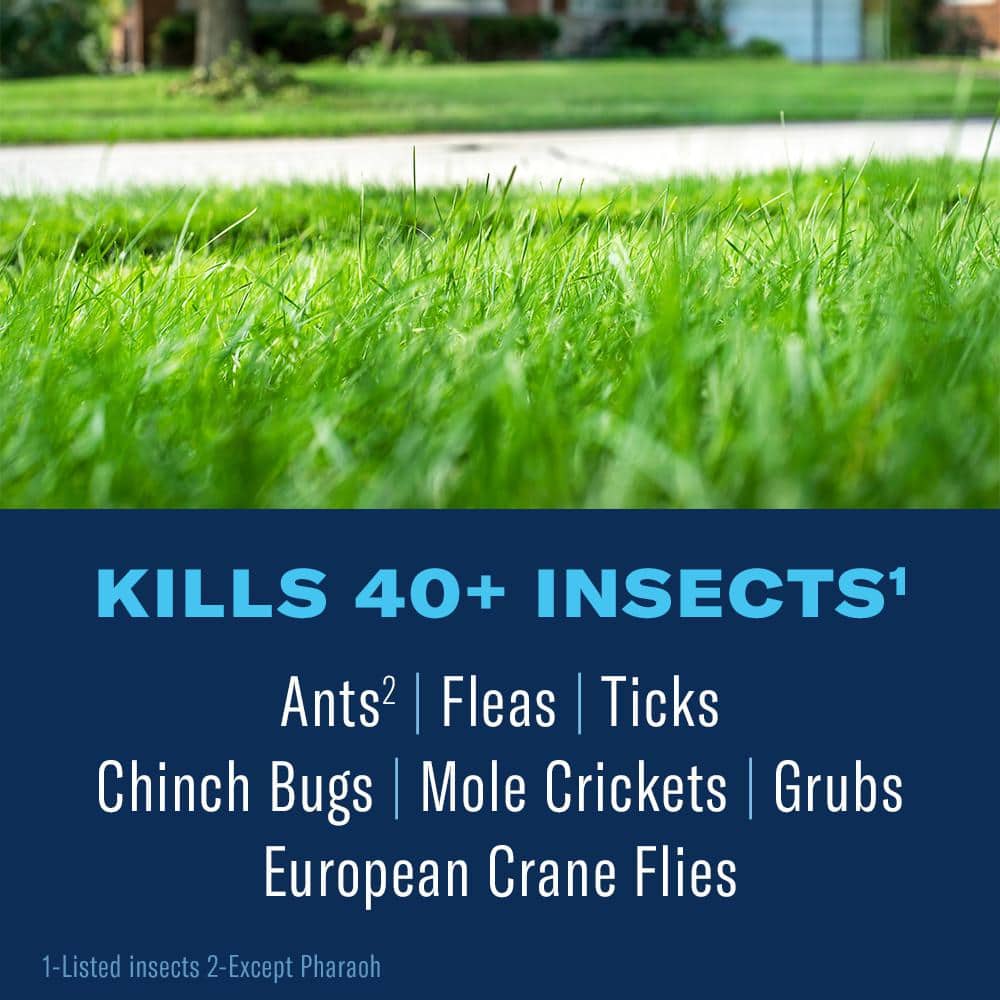 10 lbs. Complete Insect Killer Granules (2-Pack) - Hercitys
