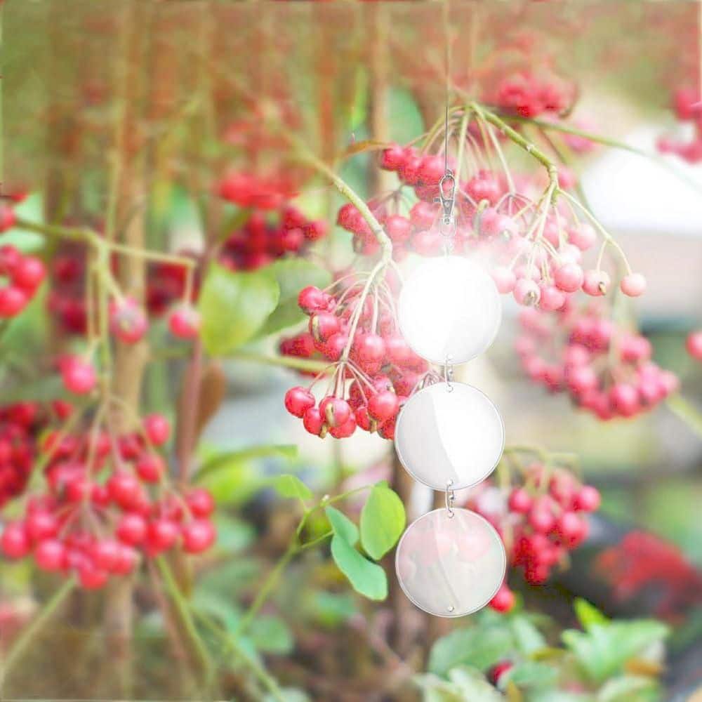 24-Pack Upgraded Bird Scare Discs Set, Highly Reflective Double Side Bird Scare Devices to Keep All Birds Away, Silver - Hercitys