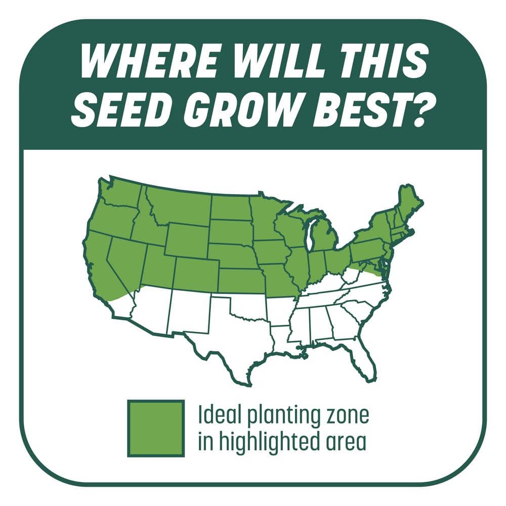 10 lbs. Smart Patch Sun and Shade West Grass Seed with Mulch, Fertilizer - Hercitys