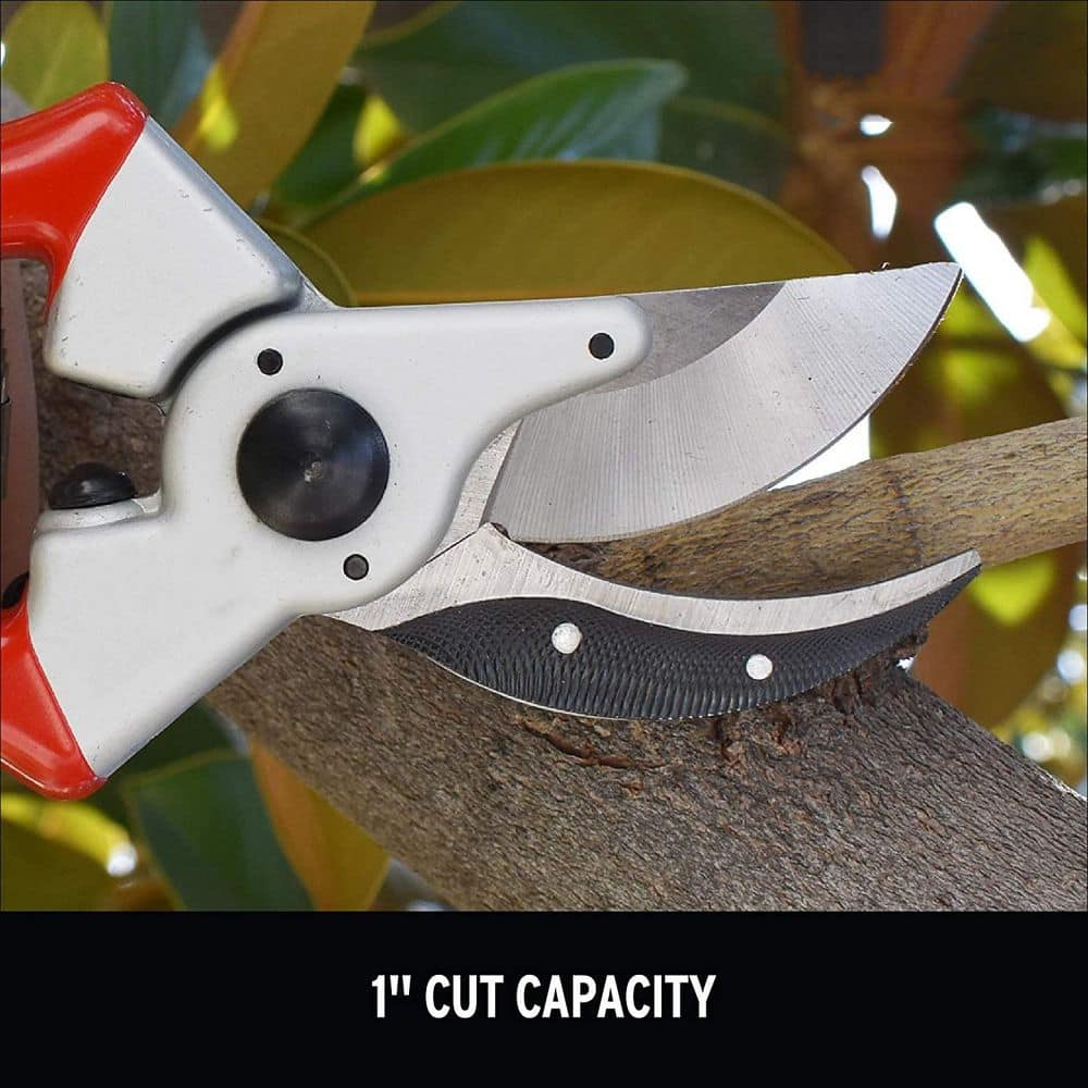 10 in. Forged Aluminum Bypass Hand Pruners - Hercitys