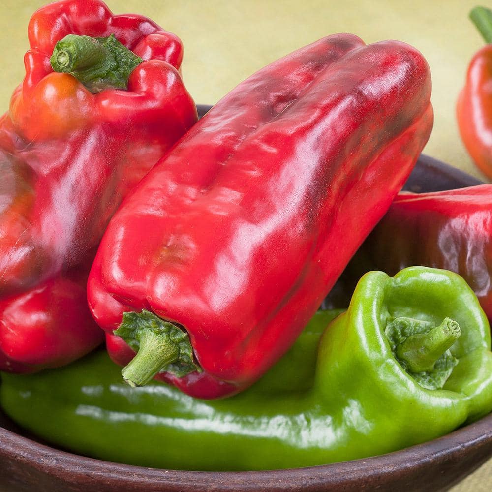 19.3 oz. Giant Marconi Pepper Plant, (2-Pack) - Hercitys