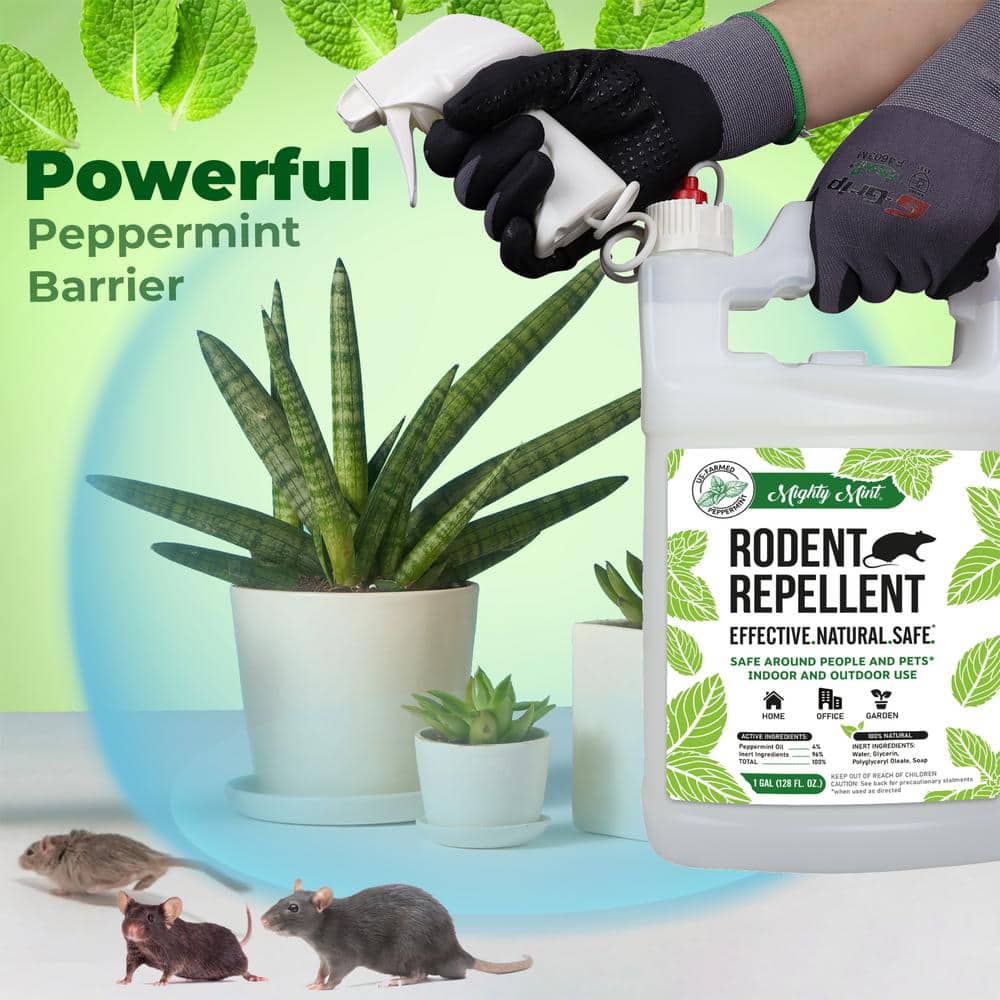 130 oz. Peppermint Oil Rodent Repellent Spray - Hercitys