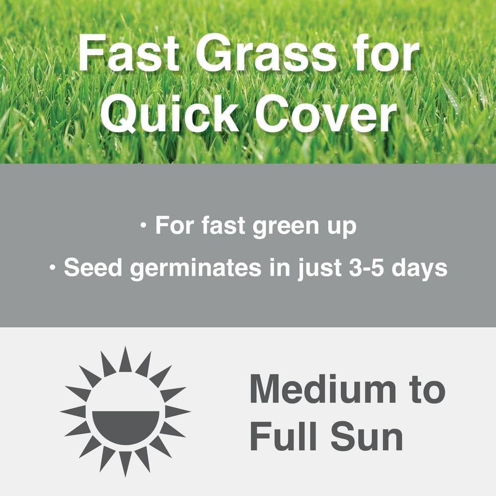 3 lbs. Fast Grass Seed Mix with Water Saver Seed Coating - Hercitys
