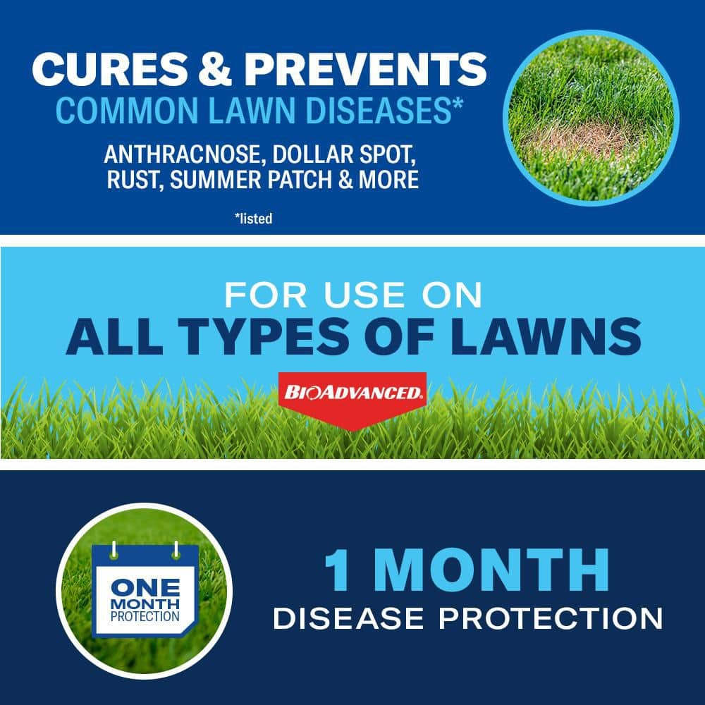 10 lbs. Granules Fungus Control for Lawns - Hercitys
