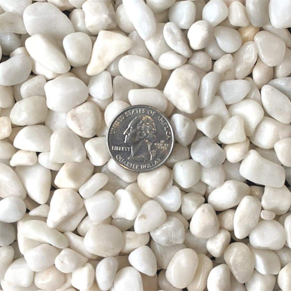 0.1 cu. ft. White Small Polished Pebbles 2 lbs. 3/8 in.-1/2 in. Size Landscape Rocks - Hercitys
