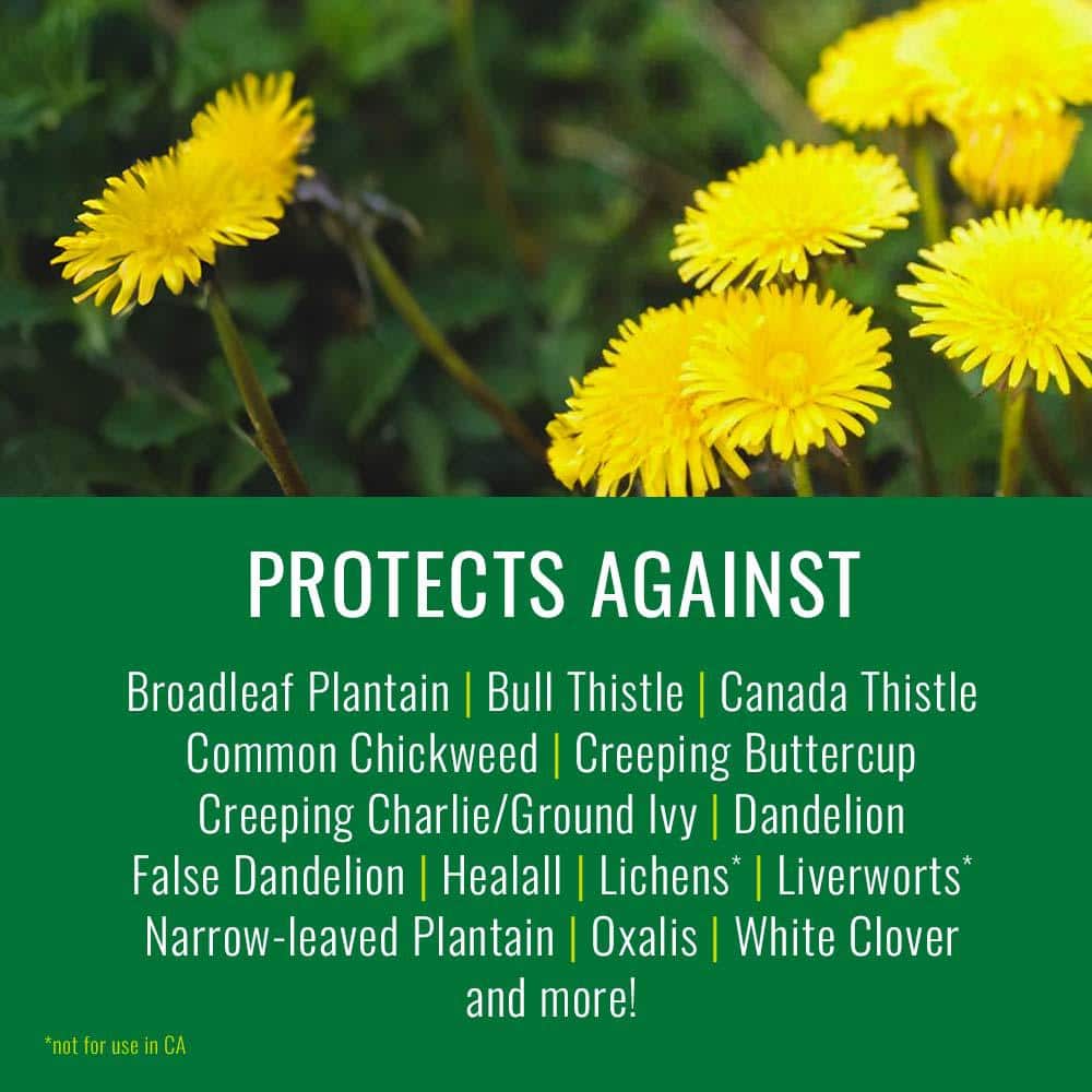 24 oz. Lawn Weed and Diseases Control Ready To Use (2-Pack) - Hercitys