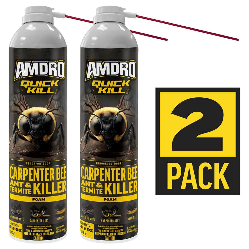 18 oz. Quick Kill Carpenter Bee, Ant, and Termite Killer Foam (2-Pack) - Hercitys