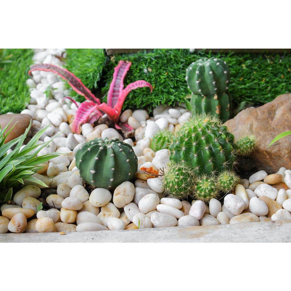 0.125 cu. ft. 1 in. – 2 in. 10 lbs. White Polished Rock Pebbles for Planters, Gardens, Aquariums and More - Hercitys
