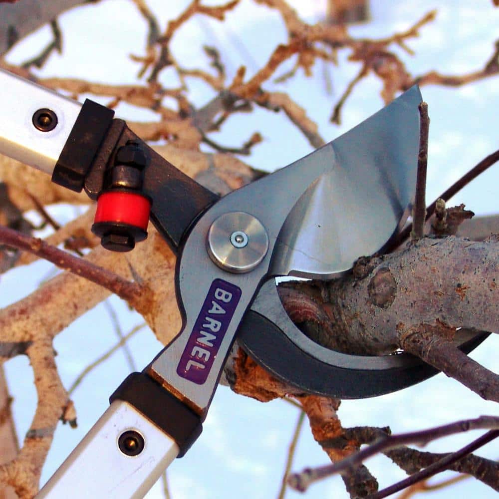 36 in. Professional Orchard By-Pass Lopper - Hercitys