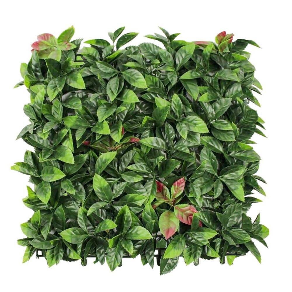 20 in. H x 20 in. W Plastic Artificial Photinia Ivy Hedge Privacy Garden Fence for Home Backyard Garden Indoor, 1-Pieces - Hercitys