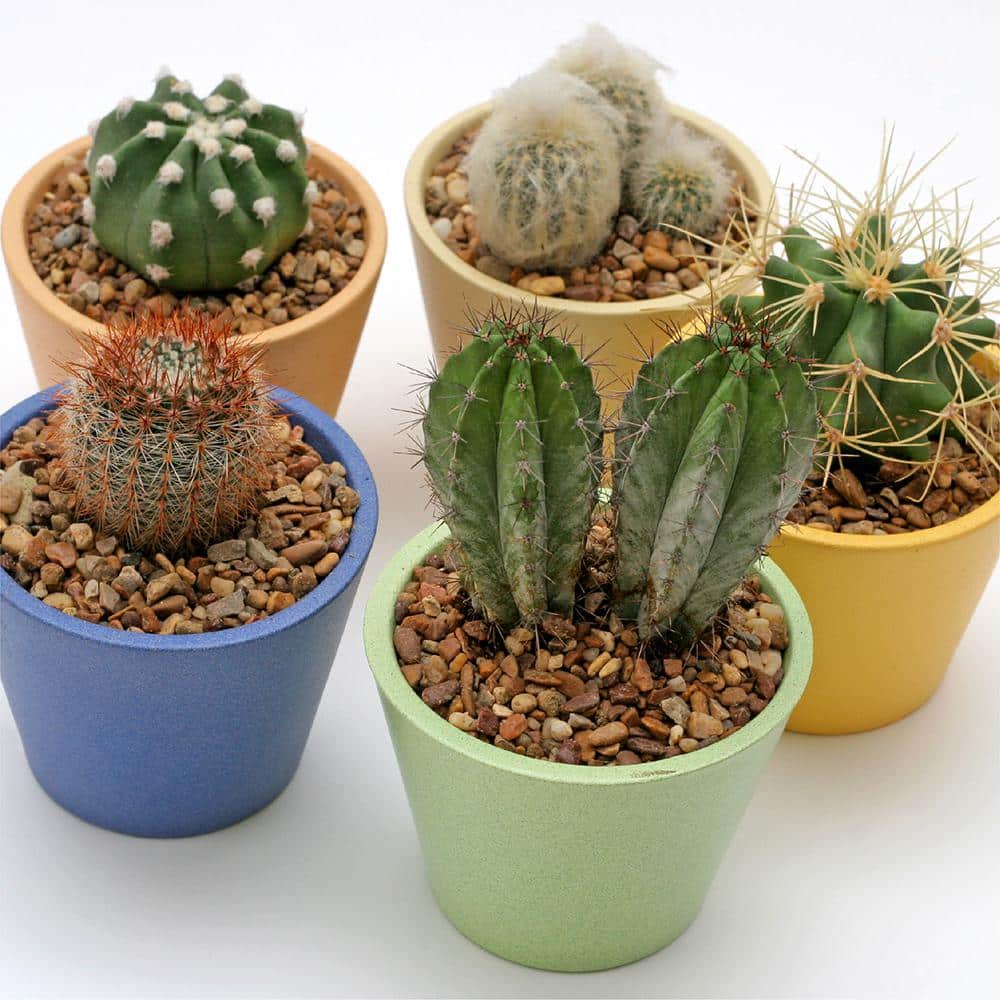 0.25 cu. ft. 3/8 in. Crushed Gravel Bagged Landscape Rock and Pebble for Gardening, Landscaping, Driveways and Walkways - Hercitys