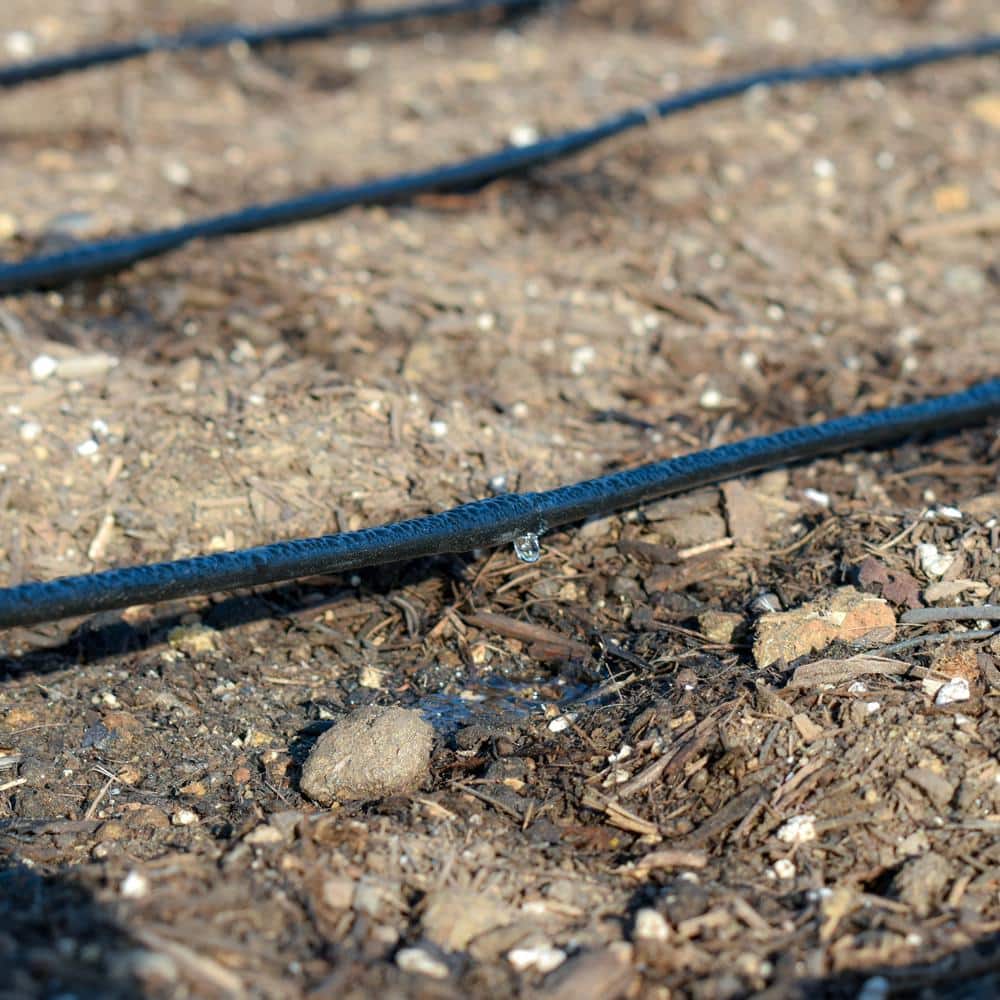 1/4 in. x 100 ft. Dripline with 9 in. Spacing and 0.5 GPH - Hercitys