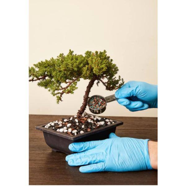 2 lbs. Bonsai Dry Fertilizer Quick Release for Instant Results Tons of Micro Nutrients Vital for Bonsai Health Jar - Hercitys