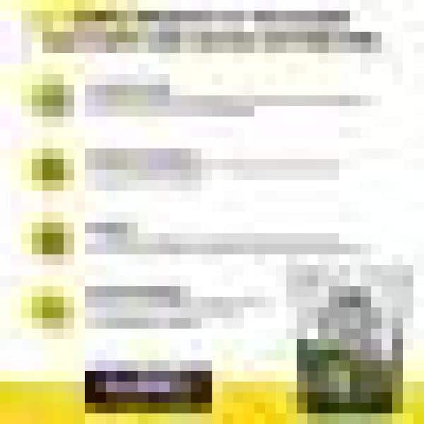 4qt. Succulent and Cactus Potting Soil Mix (2-Pack) - Hercitys