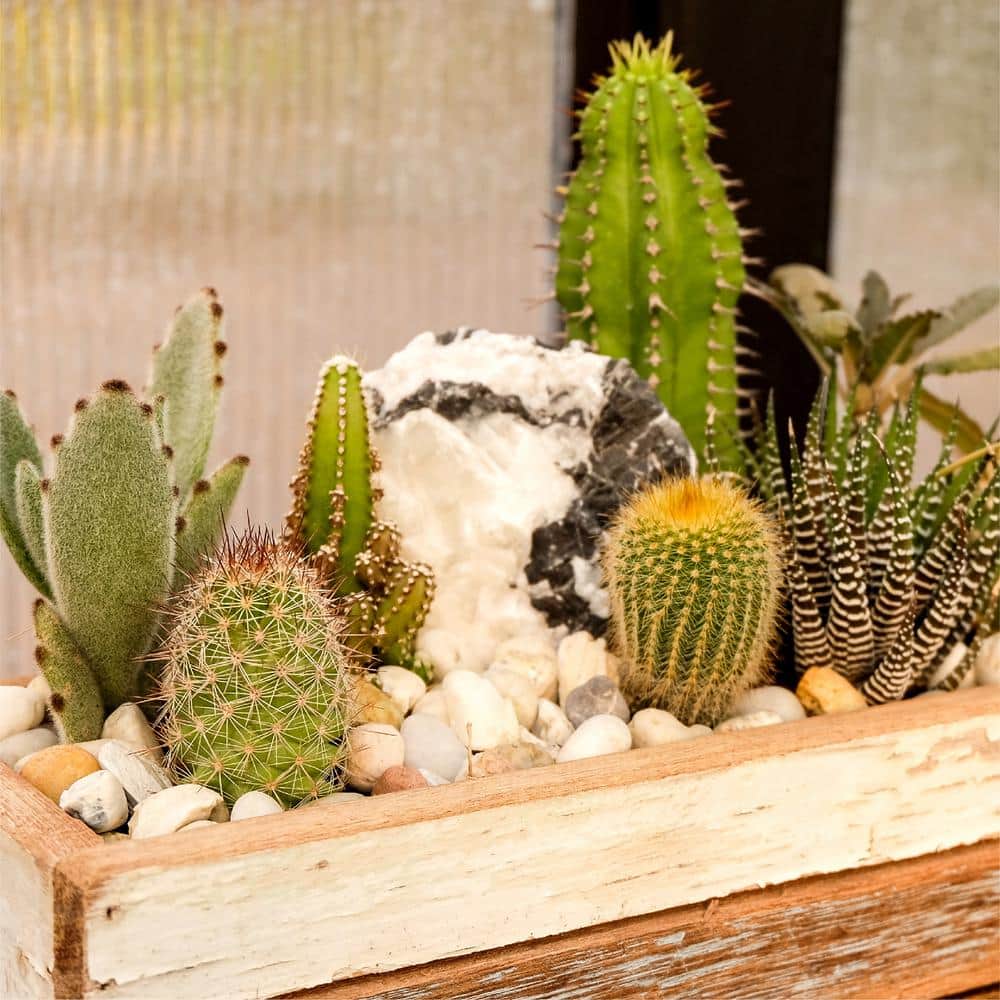 0.25 cu. ft. 3/8 in. to 5/8 in. White Polynesian Landscape Rock for Gardens, Potted Plants and Terrariums - Hercitys