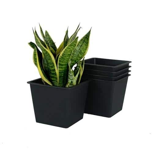 5.5 x 5.5 x 4.7 in. 2.5 qts. Black Indoor/Outdoor Plastic Square Nursery Plant Pot with Drainage – (5-Pack) - Hercitys
