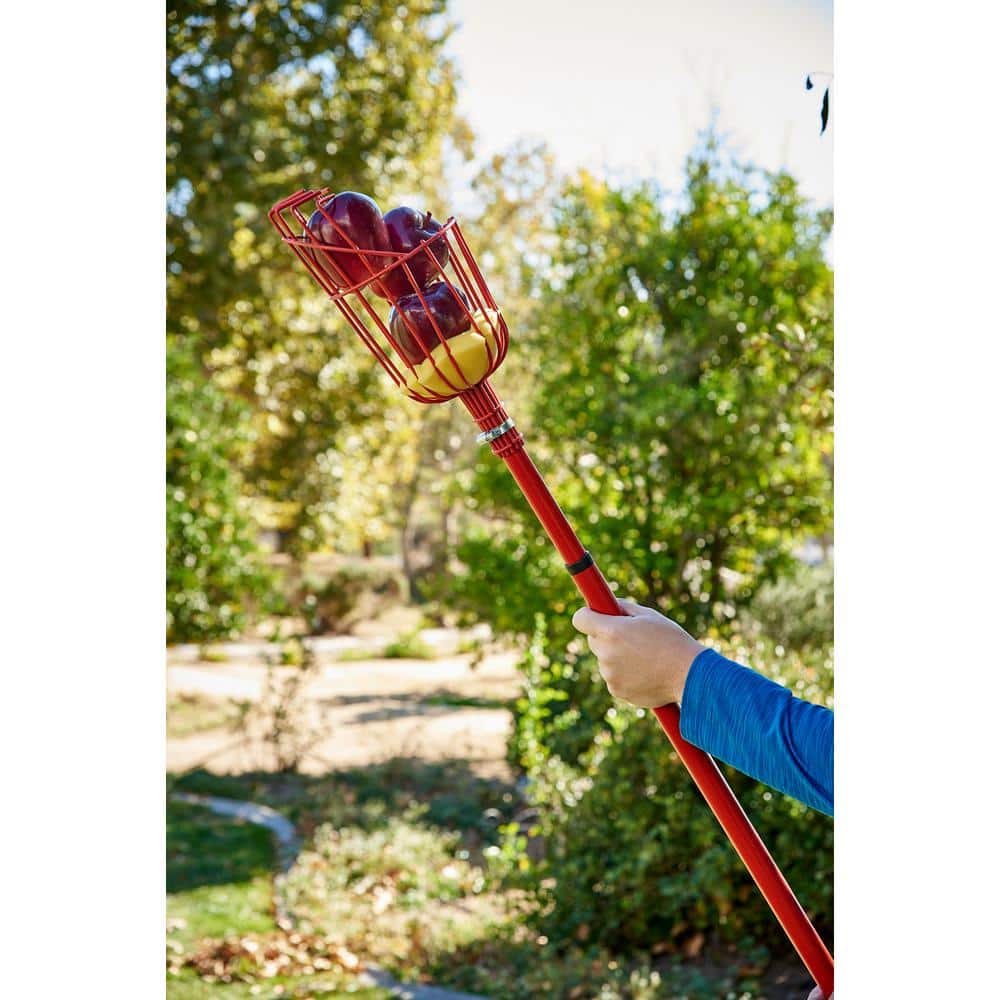 12 ft. L Reach Extendable Aluminum Handle Fruit Picker - Hercitys