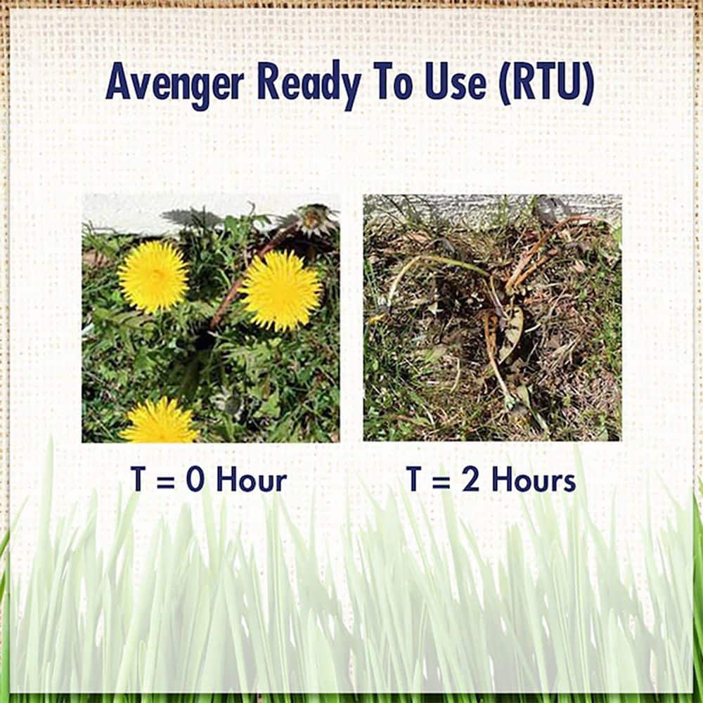 128 oz Organic Weed and Grass Killer RTU, Biodegradable, Natural non-toxic citrus based, Kills on contact, Trigger Spray - Hercitys