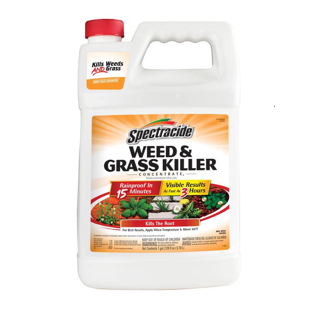 1 Gal. Concentrate Weed and Grass Killer - Hercitys