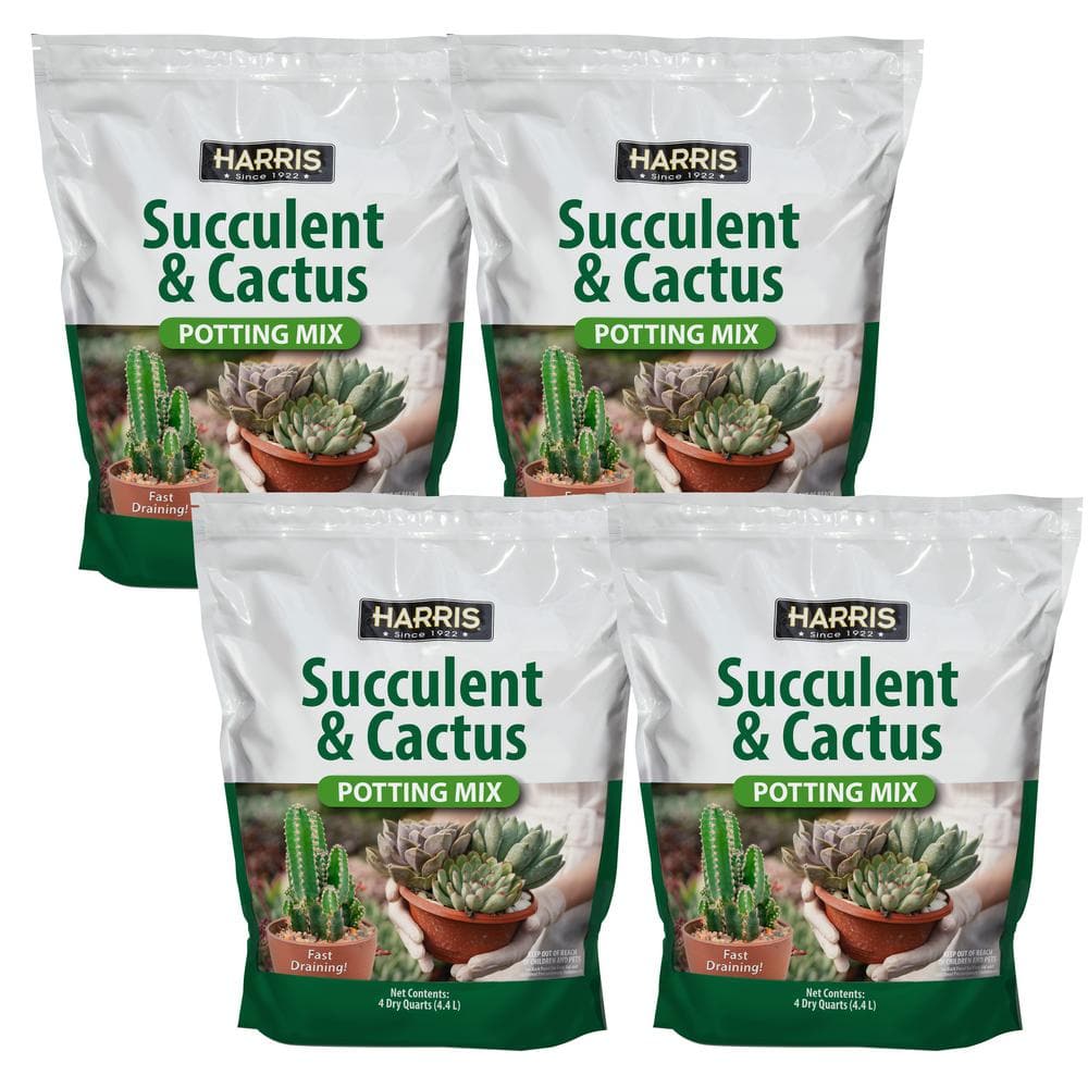 4qt. Succulent and Cactus Potting Soil Mix (4-Pack) - Hercitys