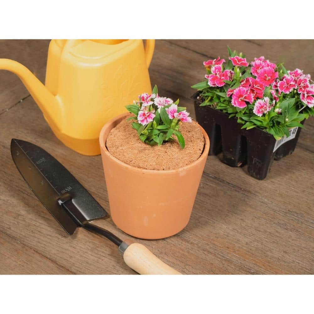 4 in. Coconut Fiber Mulch Tree Ring Protector Mat (20-Pack) - Hercitys