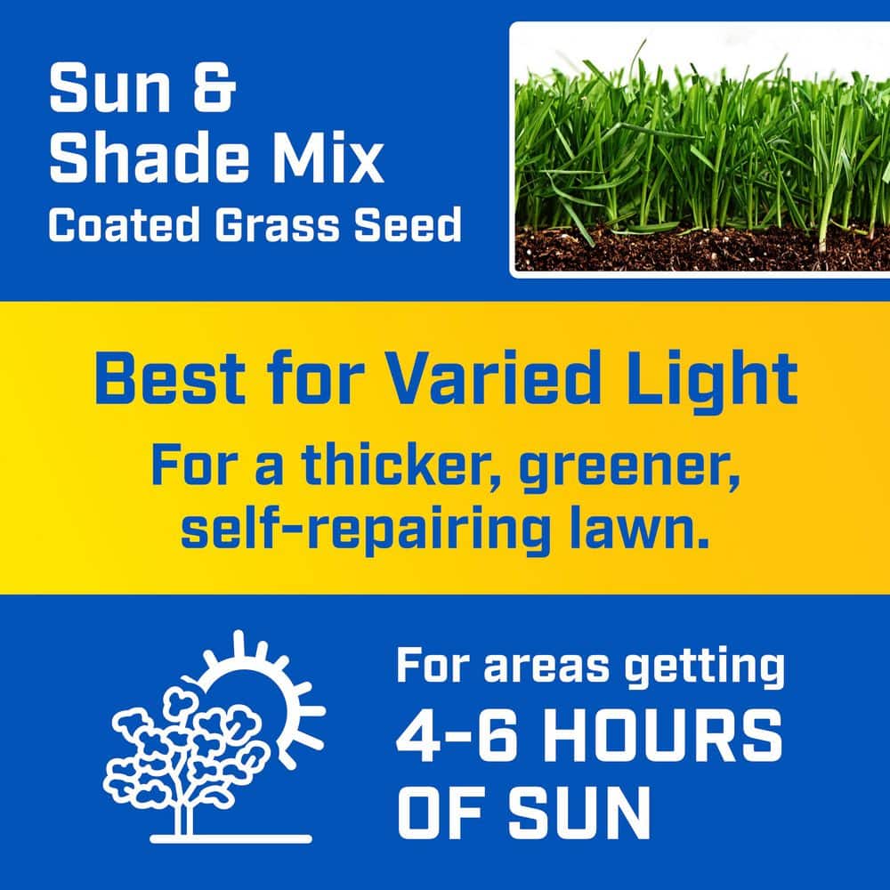 3 lbs. Sun and Shade Grass Seed Mix - Hercitys