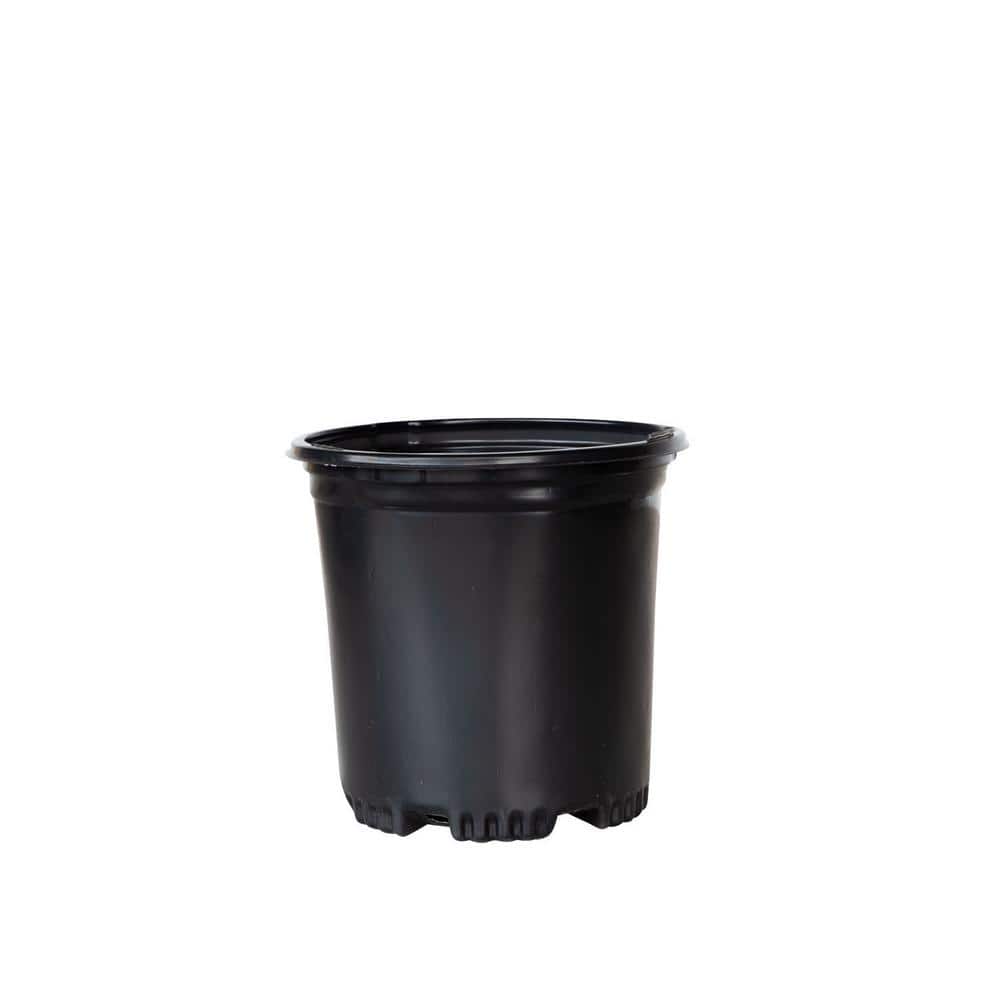 2.5 qt. 6.5 in. x 6.5 in. Black Plastic Nursery Pots (25-Pack) - Hercitys