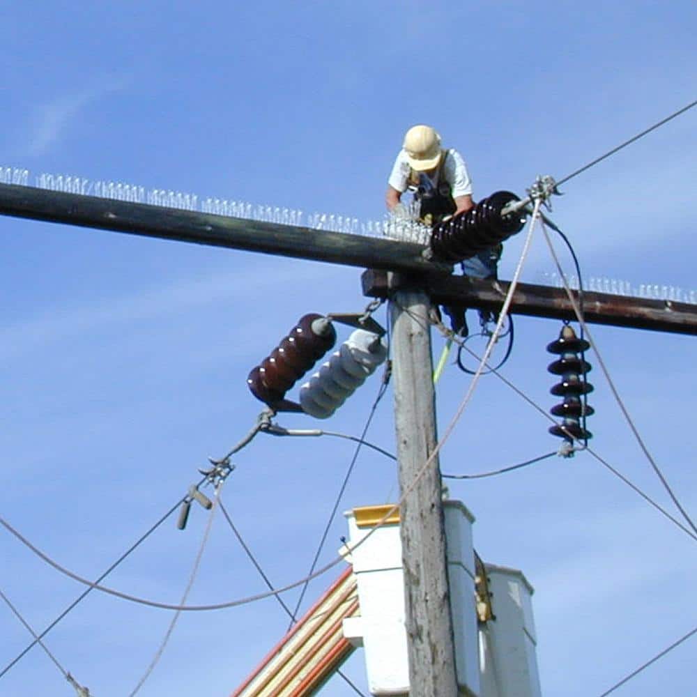 100 ft. Plastic Bird Spikes - Hercitys
