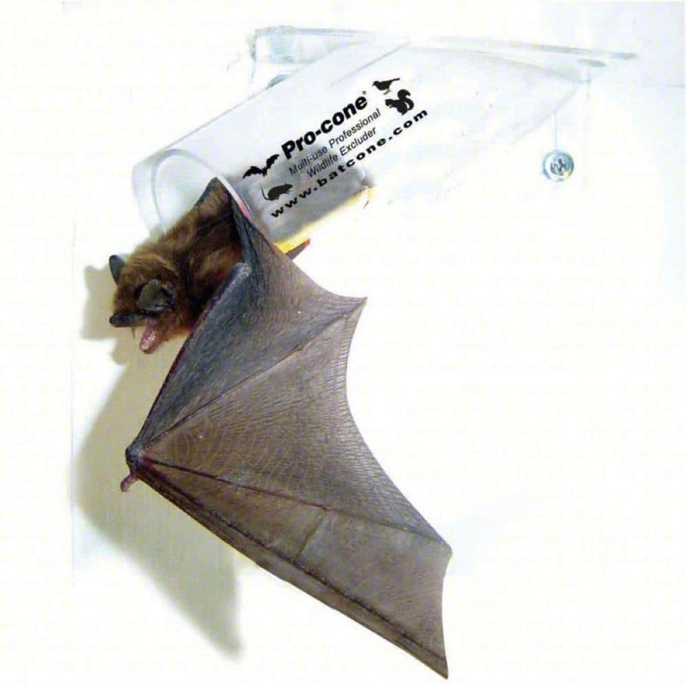 1-Way Exit Door (No Re-entry) Mounts on Walls/Structures for Bats (1-Pack) - Hercitys