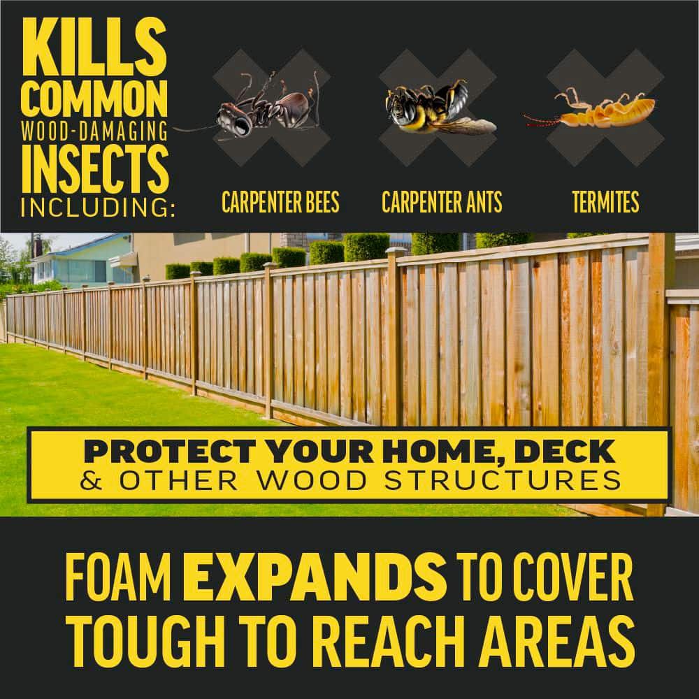 18 oz. Quick Kill Carpenter Bee, Ant, and Termite Killer Foam (2-Pack) - Hercitys