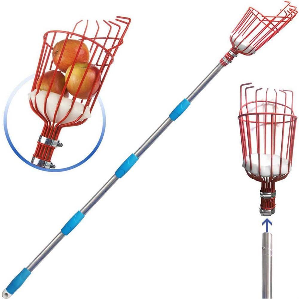 13 in. Fruit Picker Tree Pruner with Basket and Pole - Hercitys