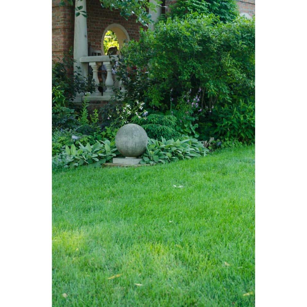 1 lb. Shade Champ Grass Seed Mixture - Hercitys
