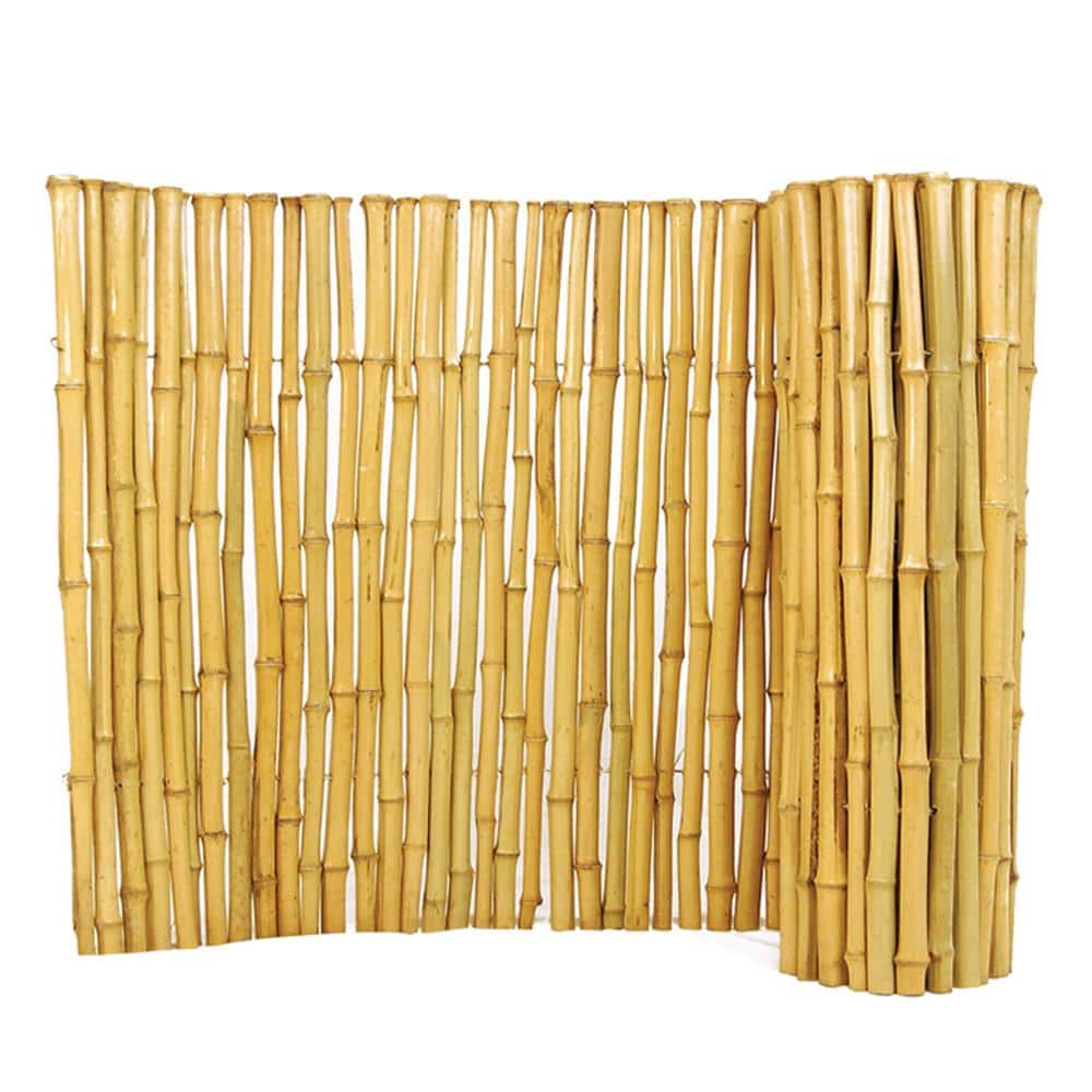 24 in. H x 96 in. L Natural Bamboo Fence - Hercitys