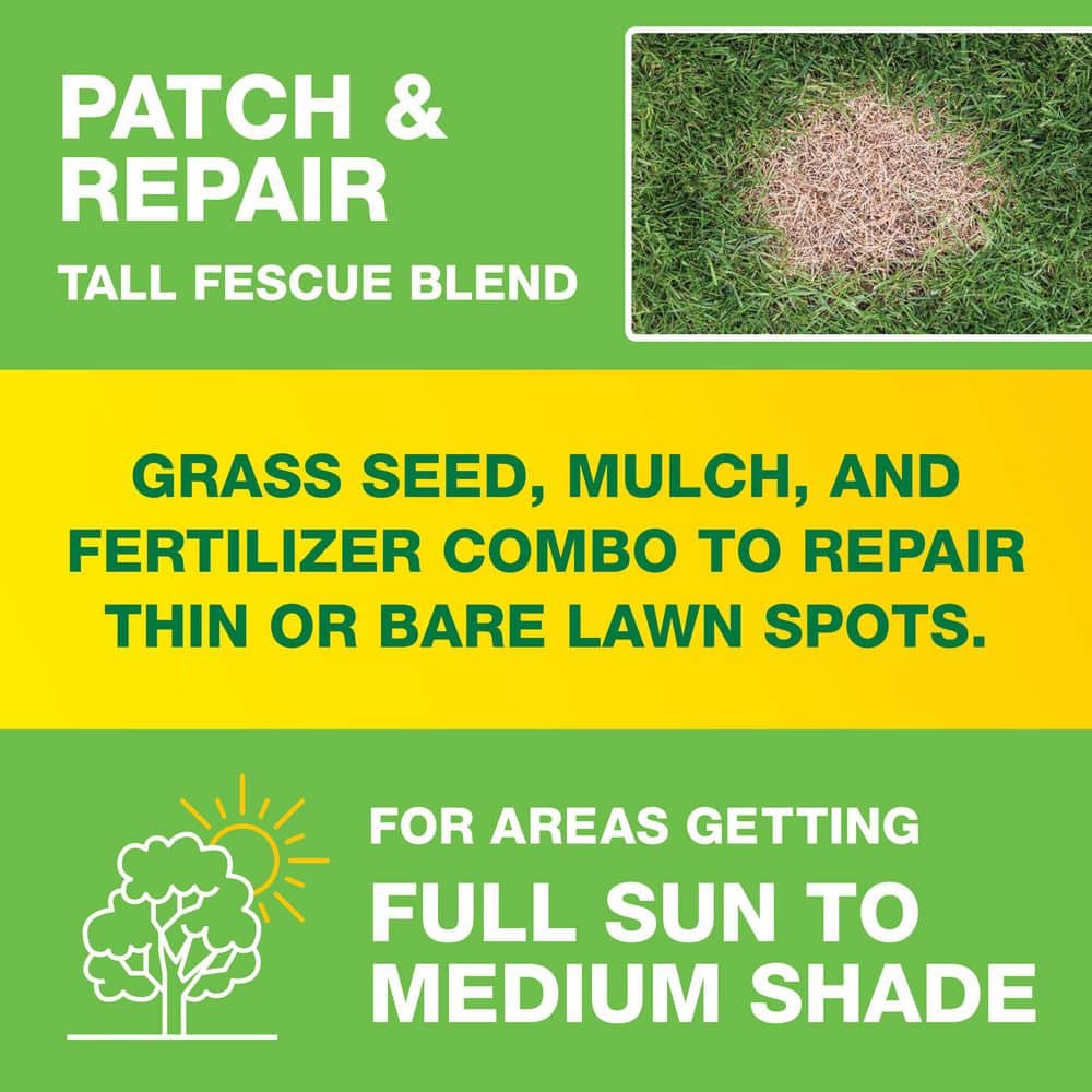 10 lbs. Patch and Repair Tall Fescue Grass Seed Mix - Hercitys