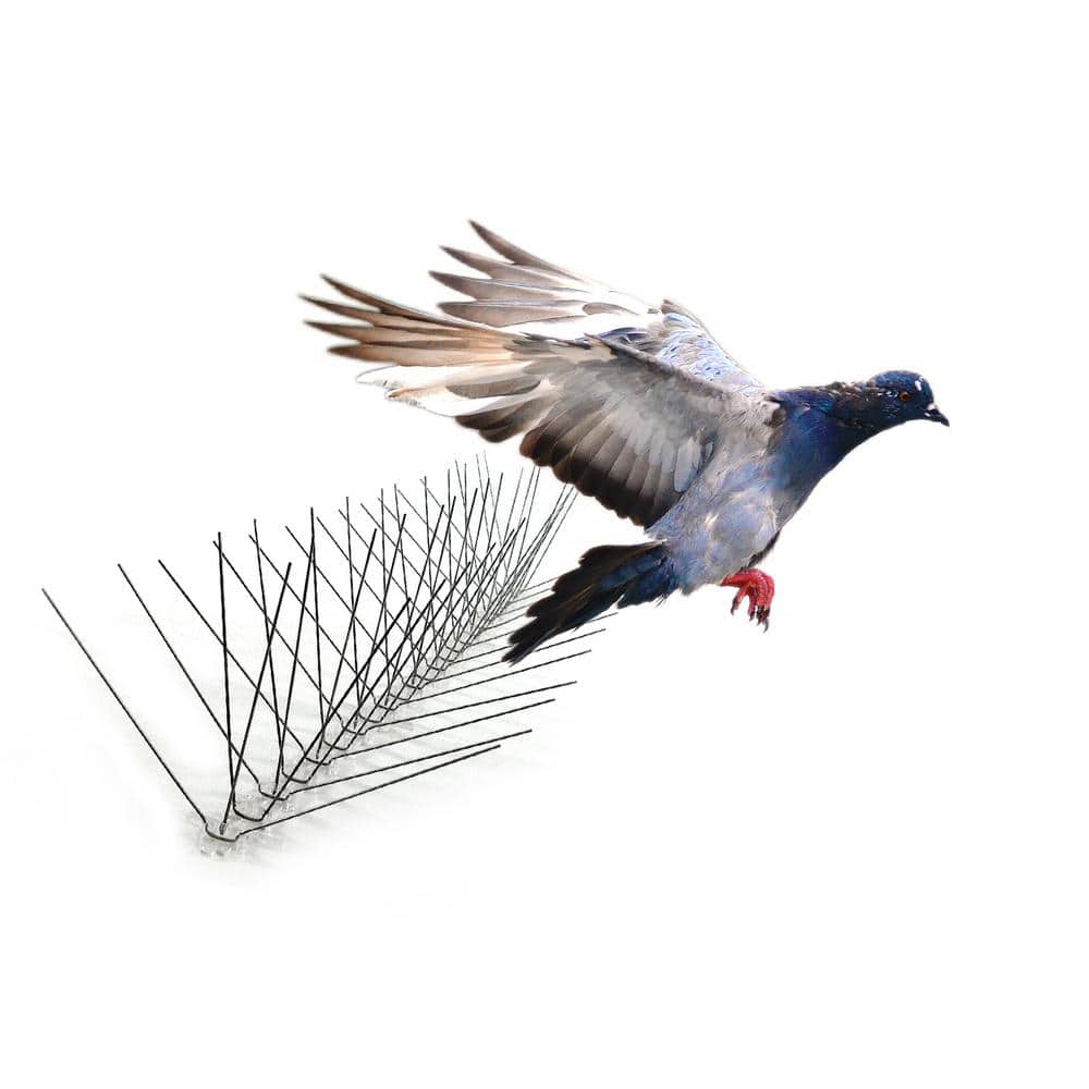 10 ft. Original Extra-Wide Stainless Steel Bird Spikes Bird Control - Hercitys