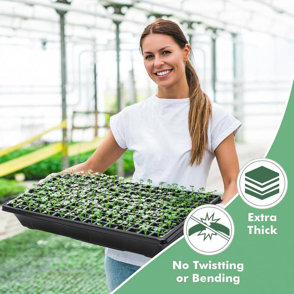 10-Pack Plant Growing Trays Reusable Durable Plastic No Holes Microgreens Seed Starter Transplant Flats - Hercitys