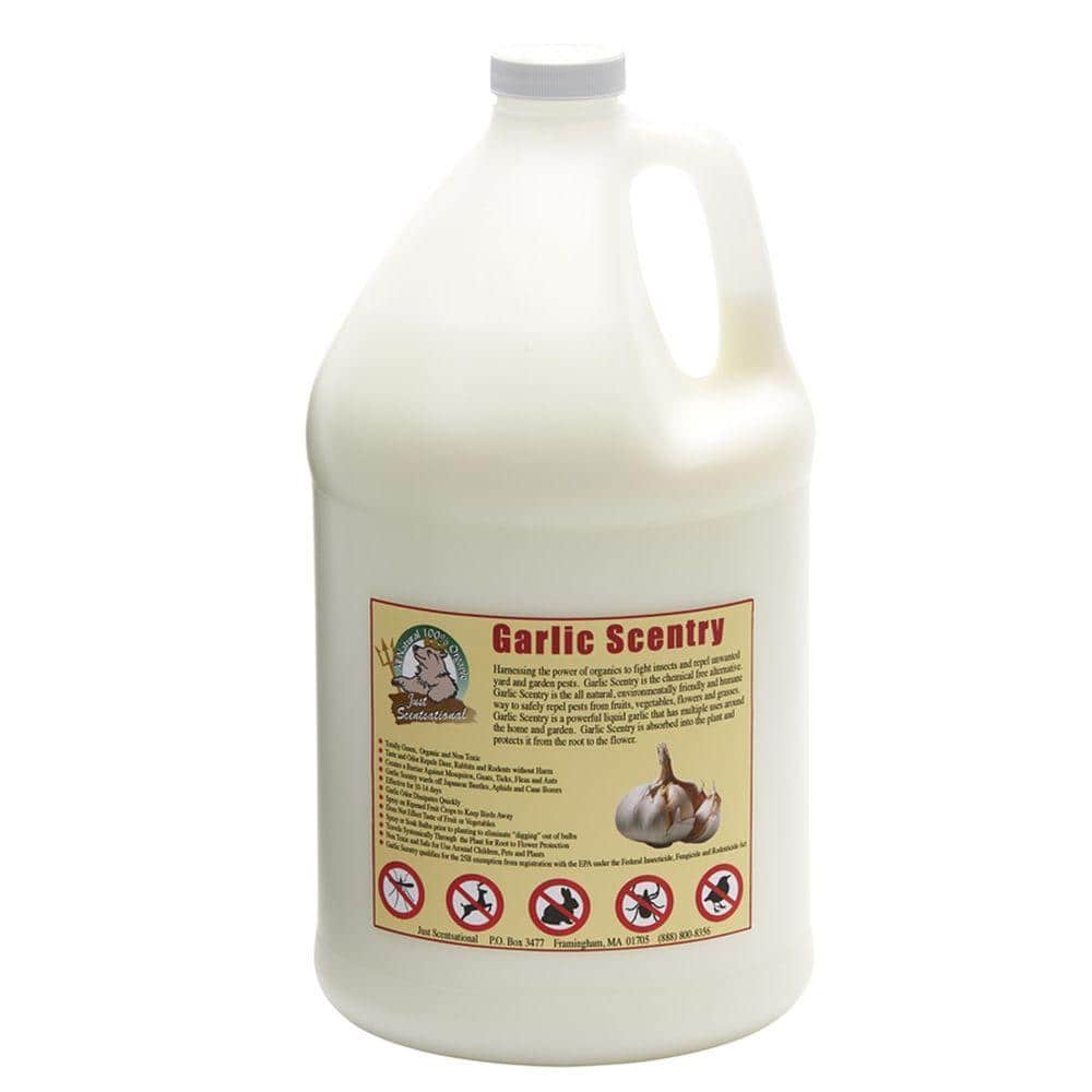 1 Gal. Garlic Scentry Animal and Insect Repellent - Hercitys