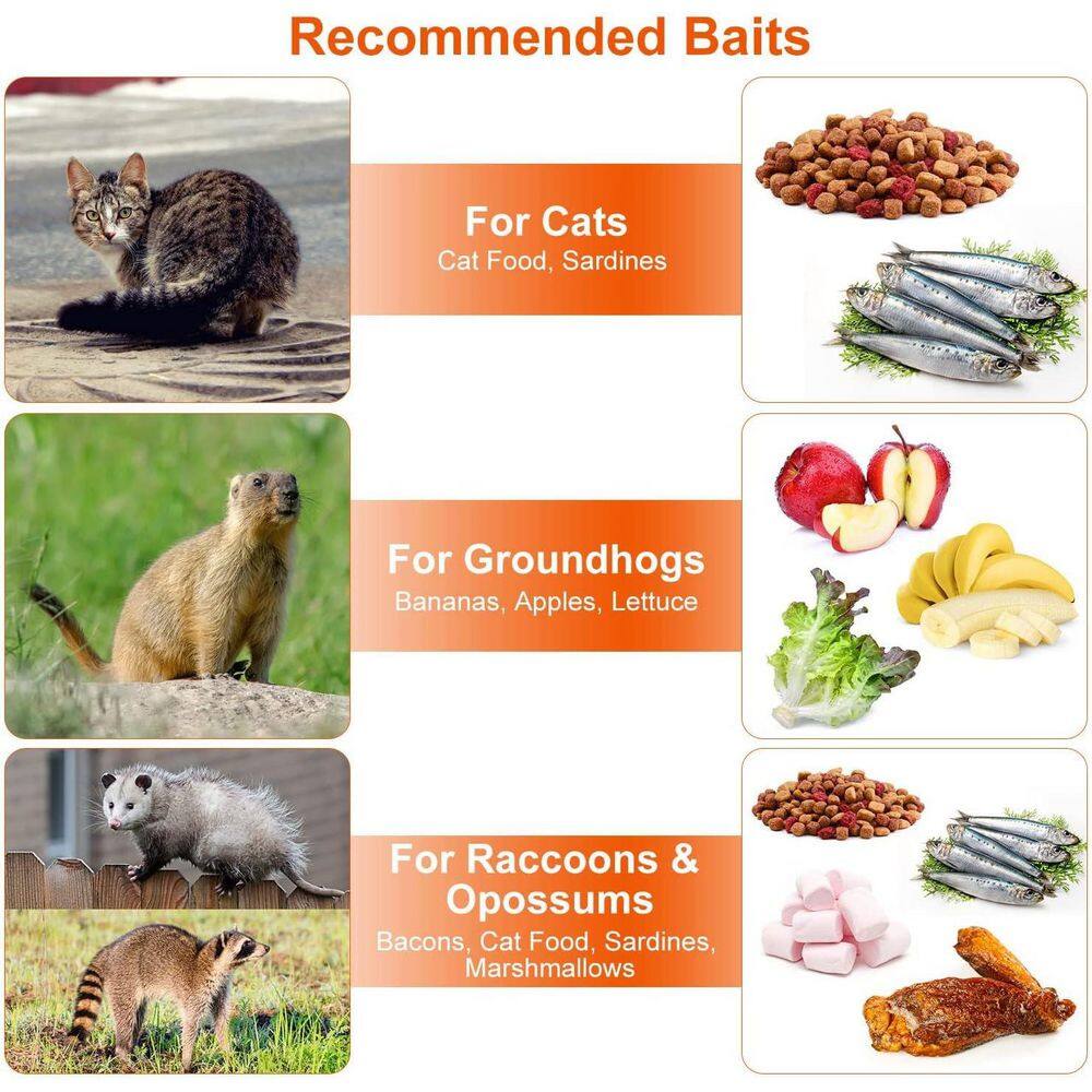 24 in. Galvanized Humane Live Animal Cage Trap-Foldable with Handle for Cats, Rabbits, Raccoons and More - Hercitys