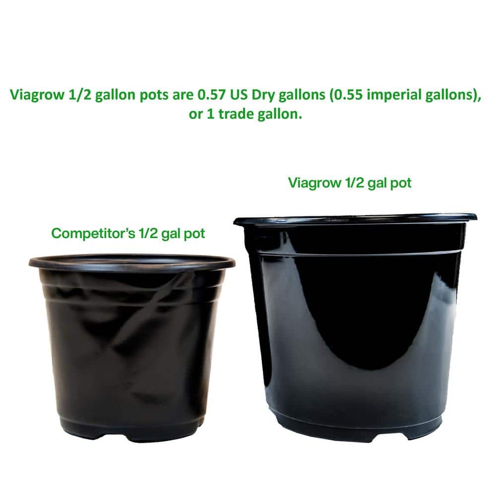 2 Qt. Plastic Nursery Trade Pots with Coconut Coir Growing Media (50-Pack) - Hercitys